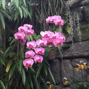 Meet your Posher, Elan